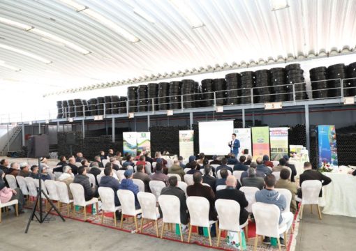 Journée de formation sur pomme de terre et tomate, El Jadida