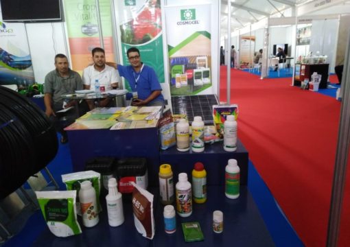 03.10.2019 – 06.10.2019, Festival agricole, Sidi Bennour