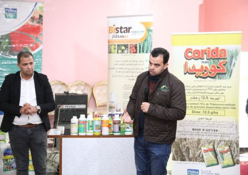 Journée de formation sur céréales, Had Kourt