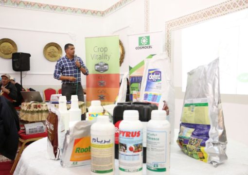 Journée de formation sur melon et pastèque, Sidi Kacem