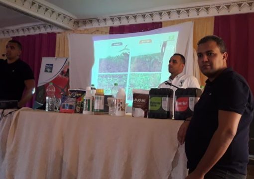 Journée de formation sur betterave à sucre et tournesol, Souk LARBAA – Gharb