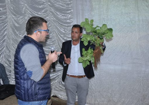 Journée de formation sur pomme de terre, Loukkous