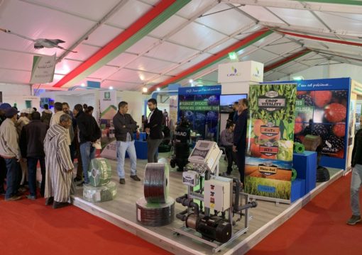 28.03.2019 – 31.03.2019, Le salon national des fruits rouges, Kenitra