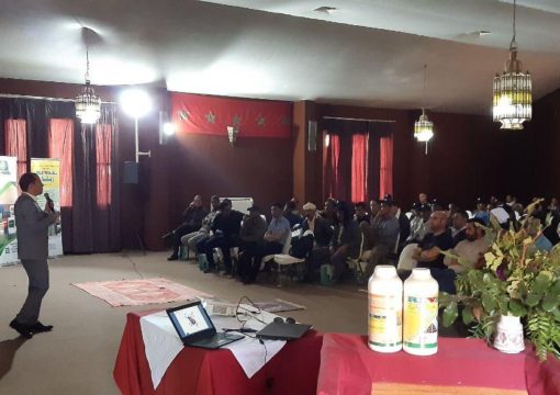 Journée de formation sur la production des pastèques, Zagora