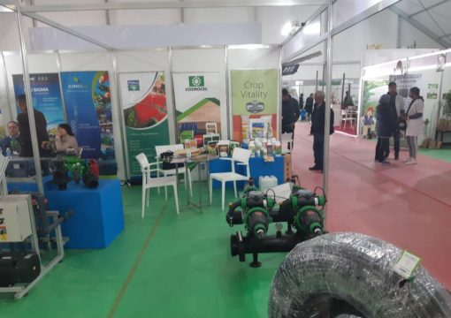 04.12.2019 – 07.12.2019, Le salon national de l’olivier, EL ATTOUIA