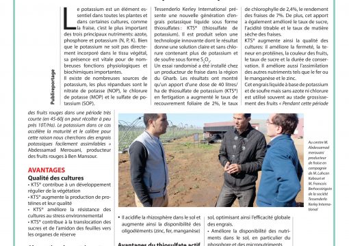 KTS : Une solution innovante de potassium liquide à base de Thiosulfate