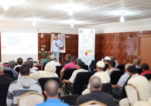 Journée de formation sur la nutrition et la protection de la culture de pomme de terre et carotte